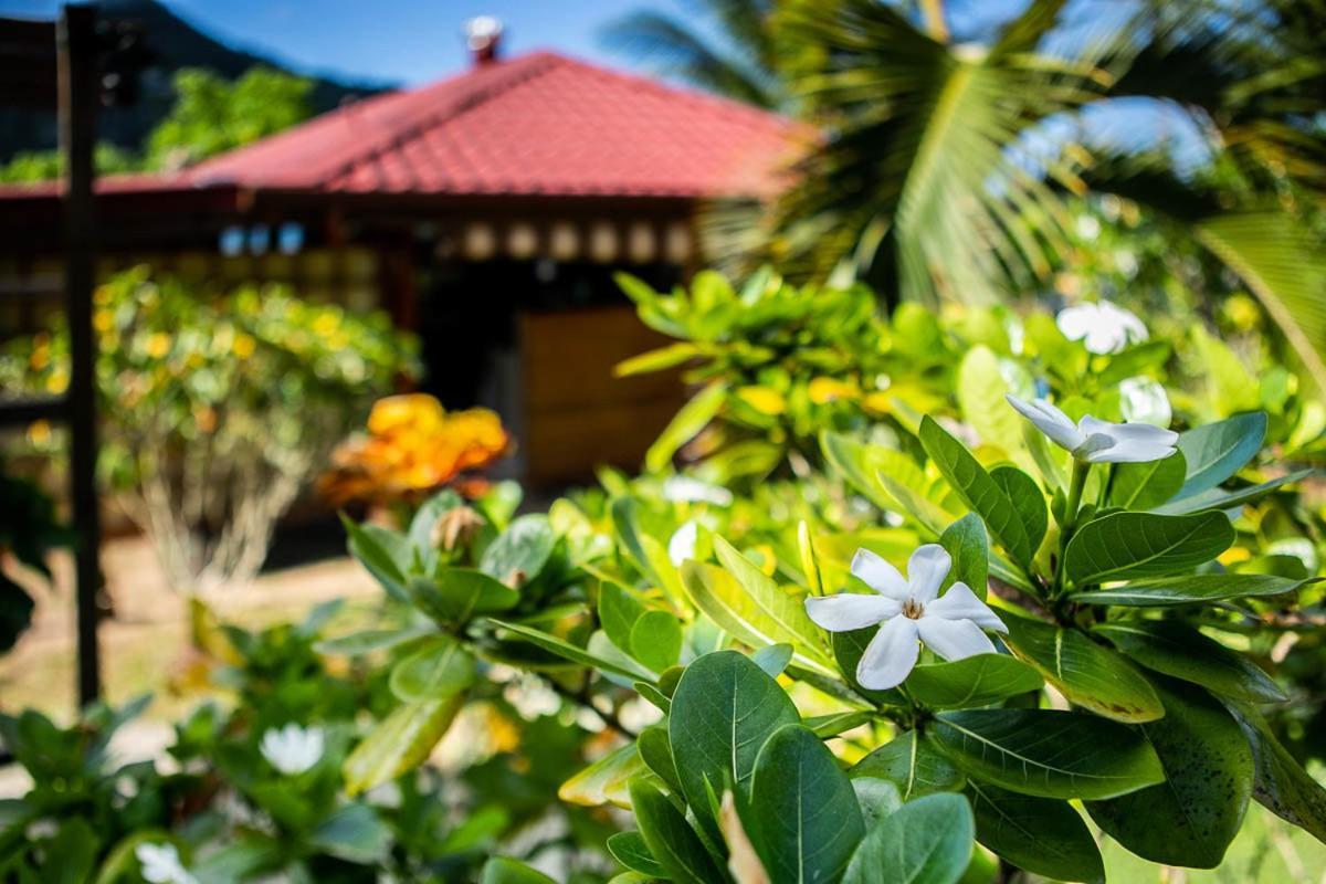 Raiatea Sur Mer Opoa Eksteriør billede
